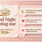 500+ Good Night Captions মেসেজেস (২০২৬) রোমান্টিক, ইসলামিক, ফানি