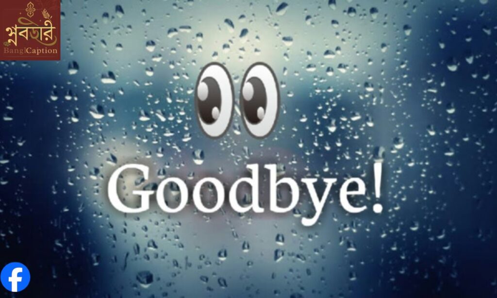 বিদায় নিয়ে মেসেজ (Goodbye Messages)