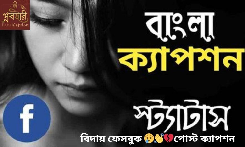 বিদায় ফেসবুক পোস্ট ক্যাপশন